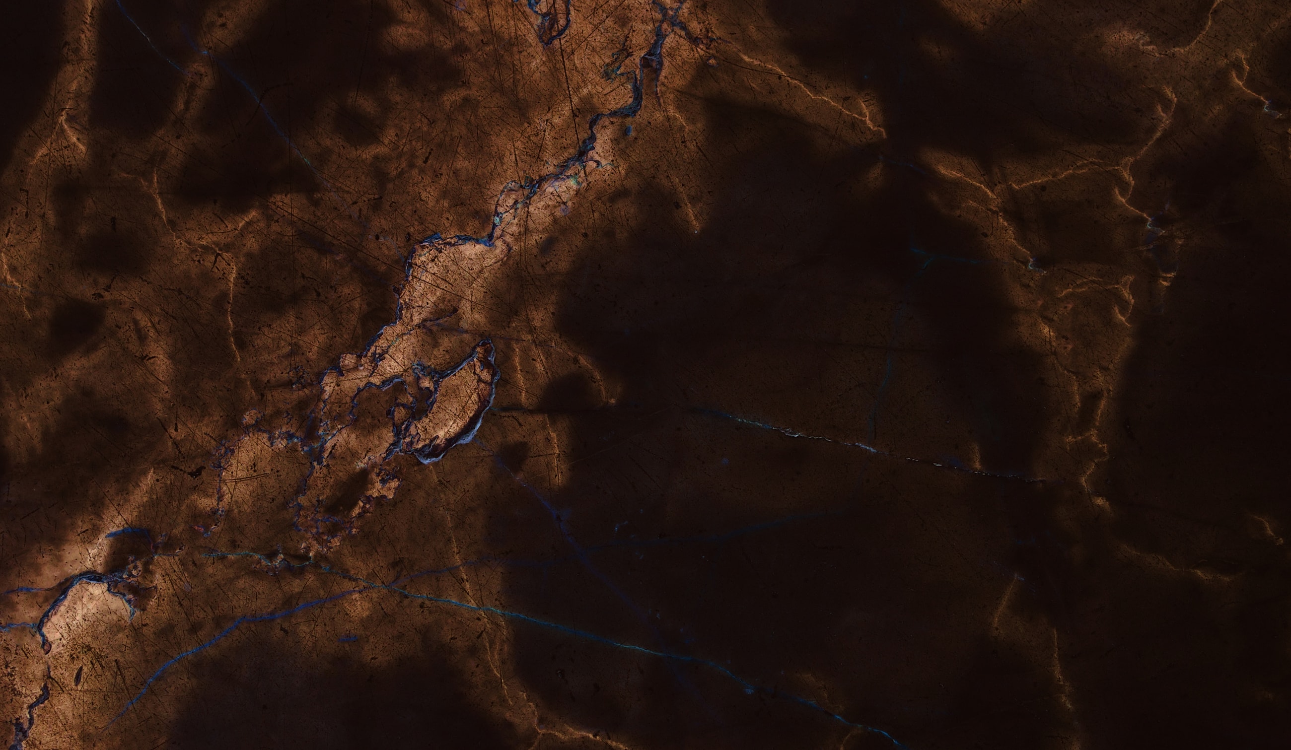 Woman with elegant jewelry and natural makeup.