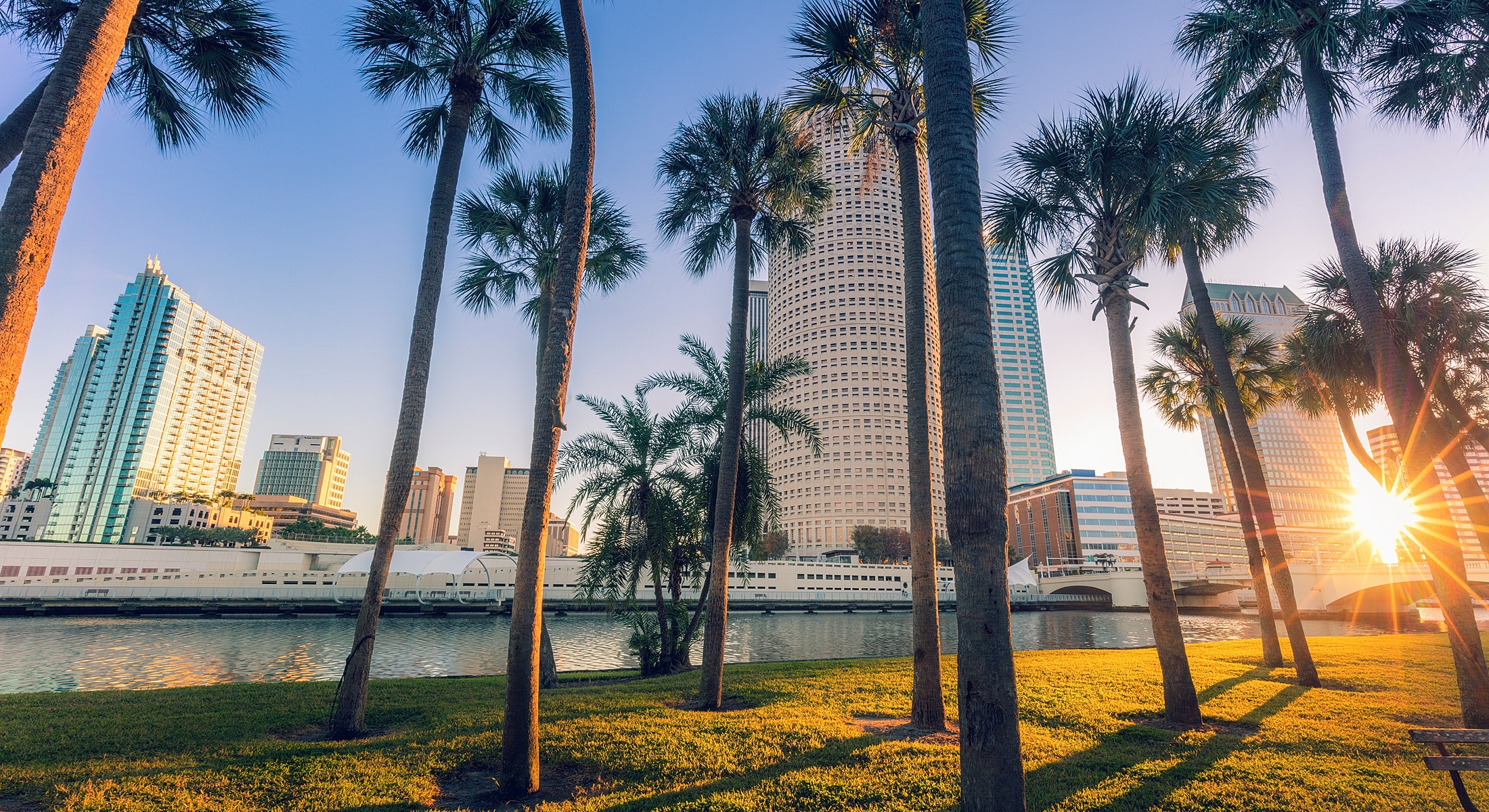 Sunset view of buildings and palm trees.